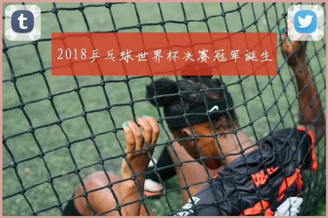 2018乒乓球世界杯决赛冠军诞生