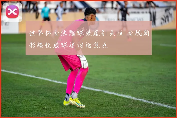 世界杯合法赌球渠道引关注 合规购彩路径成球迷讨论焦点
