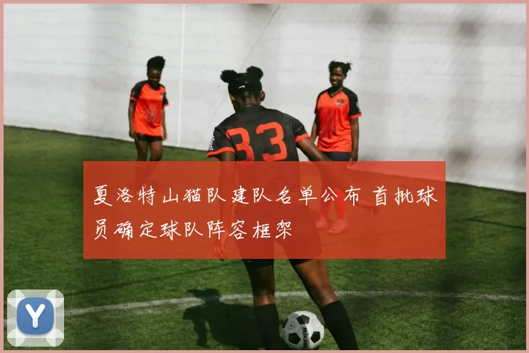 夏洛特山猫队建队名单公布 首批球员确定球队阵容框架
